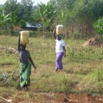 The women carry water from the well